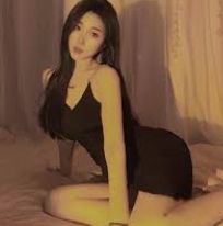 精选应用资料包